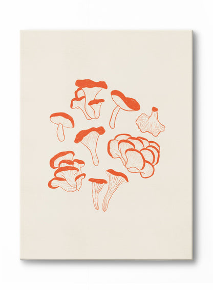 Foraged Funghi, Poster